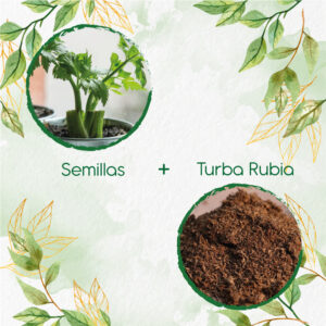 Kits De Siembra Para Apio