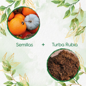 Kits De Siembra Para Auyama