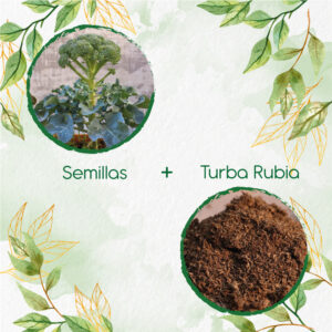 Kits De Siembra Para Brócoli