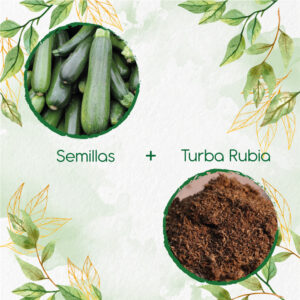 Kits De Siembra Para Calabacín