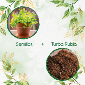 Kits De Siembra Para Cilantro