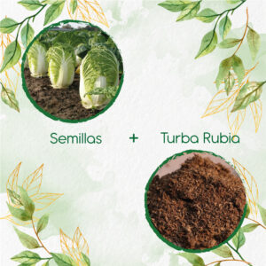 Kits De Siembra Para Col China