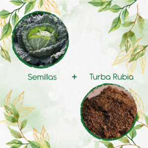 Kits De Siembra Para Col De Milán