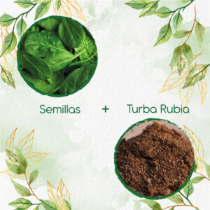 Kits De Siembra Para Espinaca