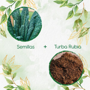 Kits De Siembra Para Kale Toscano