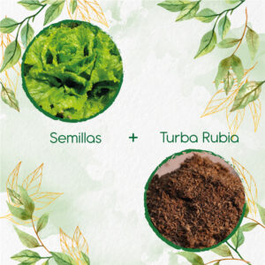 Kits De Siembra Para Lechuga Batavia