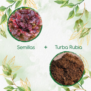 Kits De Siembra Para Lechuga Morada