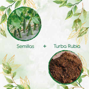 Kits De Siembra Para Pepino