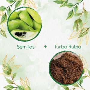 Kits De Siembra Para Pepino Relleno