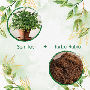 Kits De Siembra Para Perejil Liso