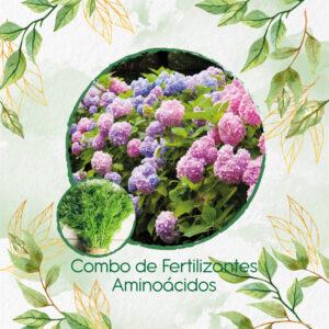 Kits De Fertilizantes Para Eneldo