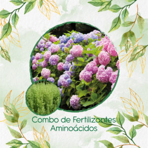 Kits De Fertilizantes Para Estragón