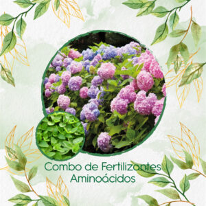 Kits De Fertilizantes Para Mejorana
