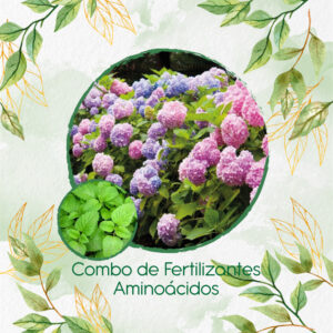 Kits De Fertilizantes Para Toronjil