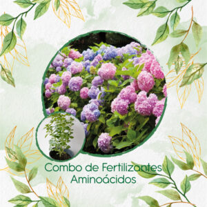 Kits De Fertilizantes Para Albahaca Italiana