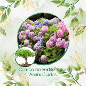 Kits De Fertilizantes Para Bonsái Acacia Mangium