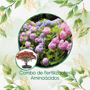 Kits De Fertilizantes Para Bonsái Acacia Roja