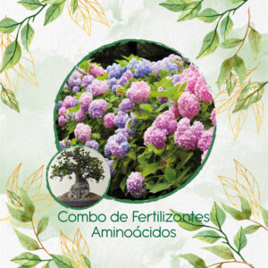 Kits De Fertilizantes Para Bonsái Algarrobo