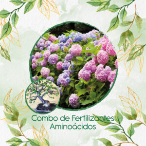 Kits De Fertilizantes Para Bonsái Búcaro