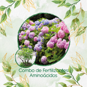 Kits De Fertilizantes Para Bonsái Cámbulo