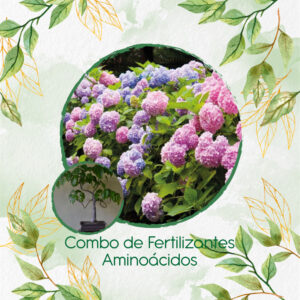 Kits De Fertilizantes Para Bonsái Ceiba Amarilla