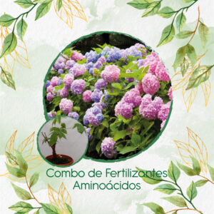 Kits De Fertilizantes Para Bonsái Ceiba Bonga