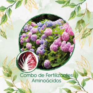 Kits De Fertilizantes Para Radicchio Morado