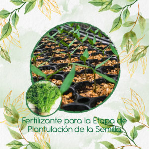 Fertilizantes Individuales Para Eneldo