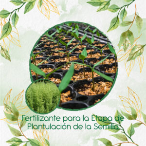 Fertilizantes Individuales Para Estragón