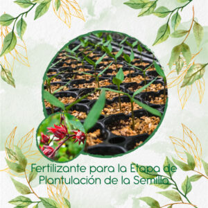Fertilizantes Individuales Para Flor de Jamaica