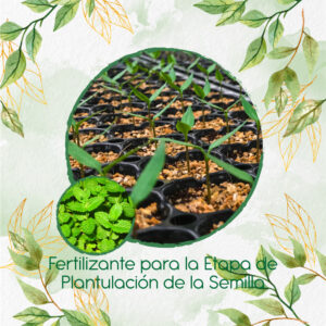 Fertilizantes Individuales Para Menta