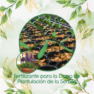 Fertilizantes Individuales Para Salvia