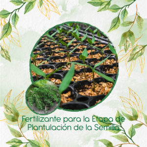 Fertilizantes Individuales Para Tomillo