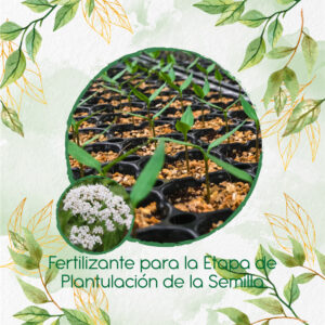 Fertilizantes Individuales Para Valeriana