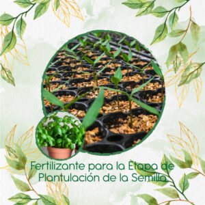 Fertilizantes Individuales Para Albahaca Verde