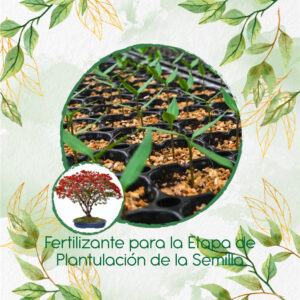 Fertilizantes Individuales Para Bonsái Acacia Roja