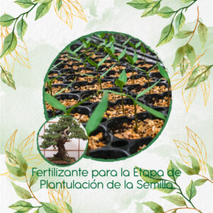 Fertilizantes Individuales Para Bonsái Cedro Negro