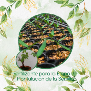 Fertilizantes Individuales Para Bonsái Ceiba Bonga