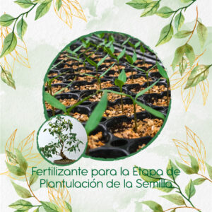 Fertilizantes Individuales Para Bonsái Eucalipto Viminalis