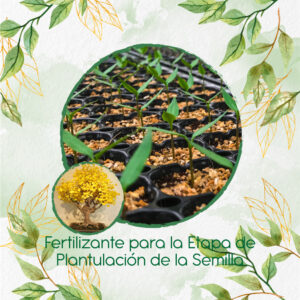 Fertilizantes Individuales Para Bonsái Guayacán Amarillo