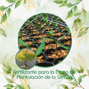 Fertilizantes Individuales Para Bonsái Matarratón