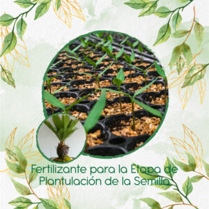 Fertilizantes Individuales Para Bonsái Canariensis