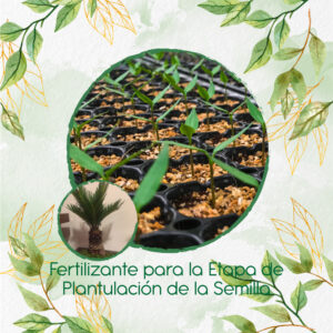 Fertilizantes Individuales Para Bonsái Palma Real