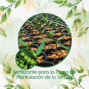 Fertilizantes Individuales Para Guisante