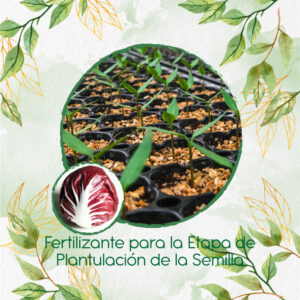 Fertilizantes Individuales Para Radicchio Morado