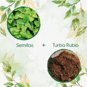 Kits De Siembra Para Hierbabuena