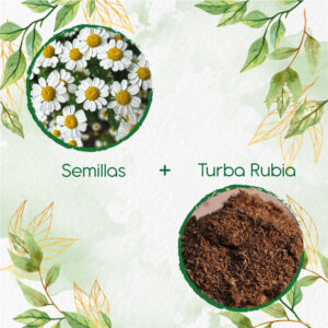 Kits De Siembra Para Manzanilla