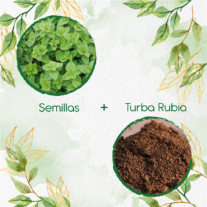 Kits De Siembra Para Orégano