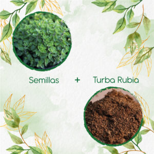 Kits De Siembra Para Orégano Italiano
