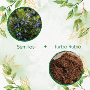 Kits De Siembra Para Romero